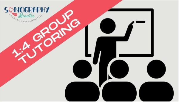 1:4 Group Ultrasound Zoom Tutoring Session